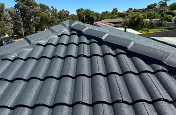roof painters in Canberra